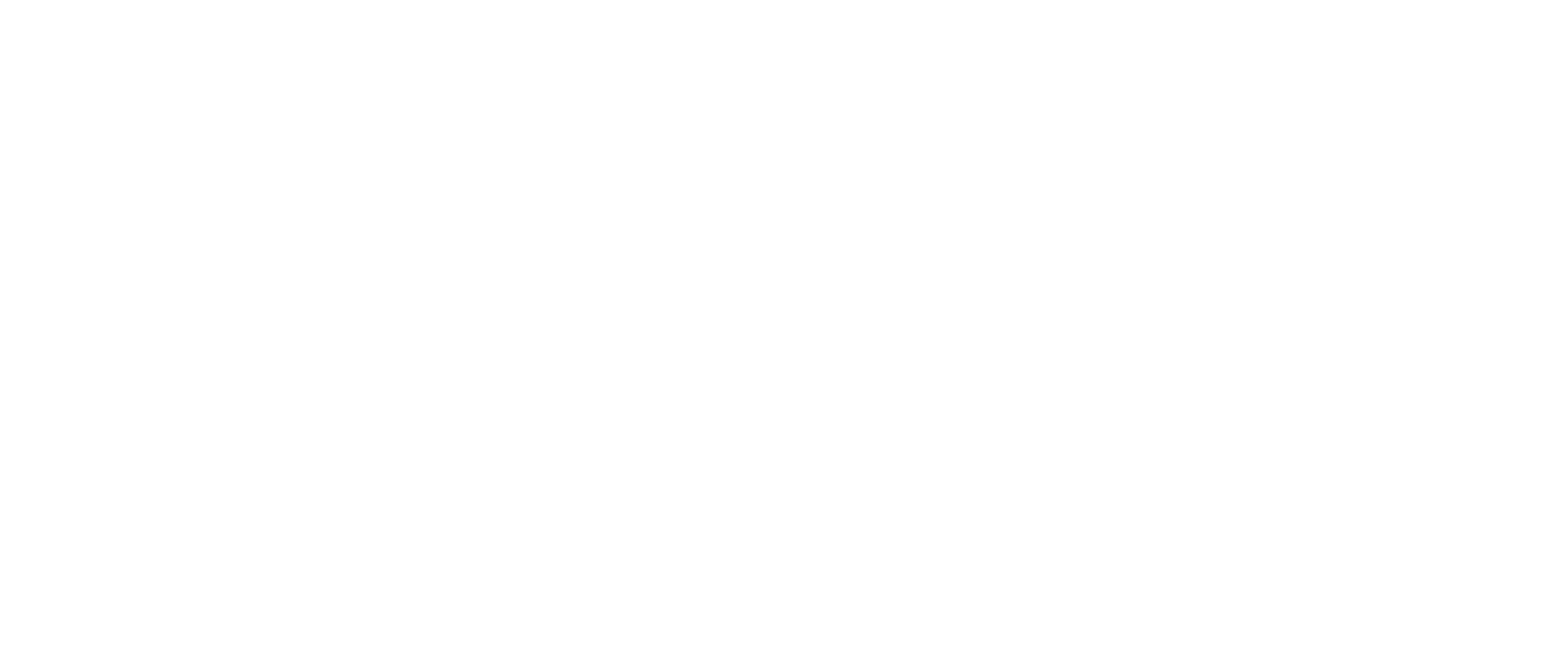 TSMX